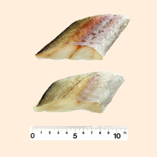 株 ショクカイ助宗タラ切身 骨取 無塩 肉 魚 野菜安心食材を低価格で 全国規模の業務用食品卸 株 ショクカイ