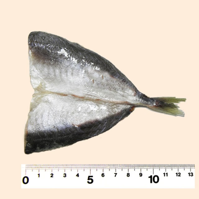 株 ショクカイあじ開き 90尾 無塩 肉 魚 野菜安心食材を低価格で 全国規模の業務用食品卸 株 ショクカイ